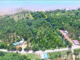 For sale land in Ko Chang, Trat