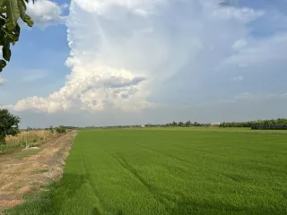 ขาย ที่ดิน ใน ไทรน้อย, นนทบุรี