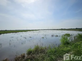 For sale land in Phra Nakhon Si Ayutthaya, Phra Nakhon Si Ayutthaya