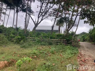 For sale land in Ko Lanta, Krabi