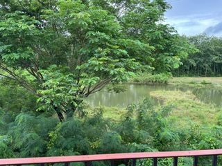 For sale 3 bed townhouse in Thalang, Phuket