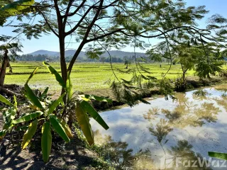 For sale land in Doi Saket, Chiang Mai
