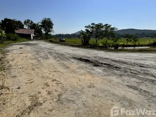 For sale land in Doi Saket, Chiang Mai