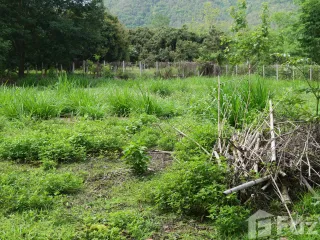 For sale land in San Kamphaeng, Chiang Mai