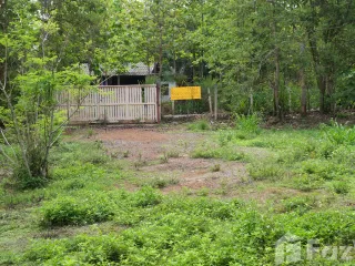 For sale land in San Kamphaeng, Chiang Mai