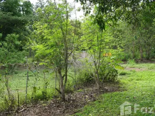 For sale land in San Kamphaeng, Chiang Mai