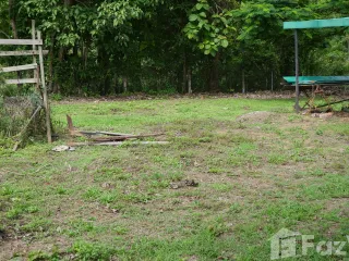 For sale land in San Kamphaeng, Chiang Mai