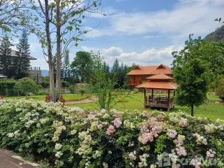 For sale land in Pak Chong, Nakhon Ratchasima