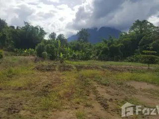 For sale land in Chiang Dao, Chiang Mai