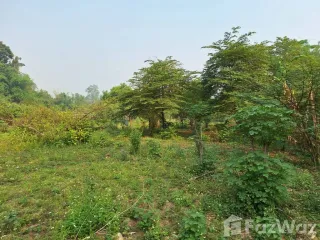 For sale land in Chiang Dao, Chiang Mai