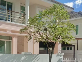 For rent 3 bed house in San Sai, Chiang Mai