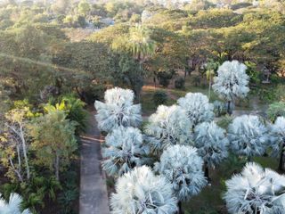 For sale land in Hang Dong, Chiang Mai