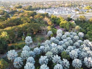 For sale land in Hang Dong, Chiang Mai