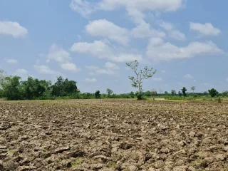 For sale land in Mueang Chiang Rai, Chiang Rai
