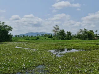 For sale land in Mueang Chiang Rai, Chiang Rai