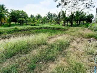 For sale land in U Thong, Suphan Buri