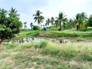 For sale land in U Thong, Suphan Buri