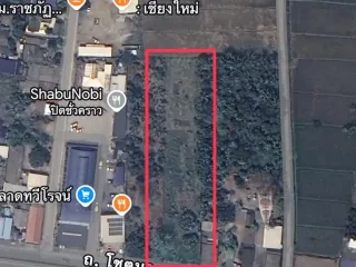 For sale land in Mae Rim, Chiang Mai