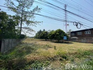 For sale land in Mae Rim, Chiang Mai