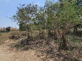 For sale land in Sattahip, Chonburi