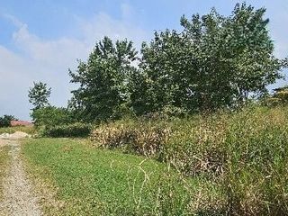 For sale land in Sattahip, Chonburi