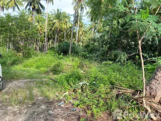 For sale land in Ko Samui, Surat Thani