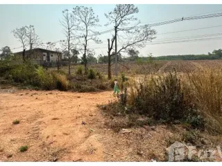 For sale land in Phu Ruea, Loei
