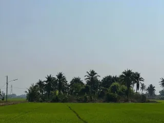 For sale land in Nong Suea, Pathum Thani
