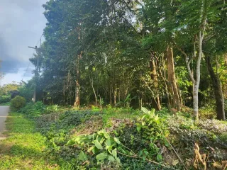 ขาย ที่ดิน ใน เมืองกระบี่, กระบี่