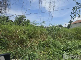 For sale land in Mueang Chiang Mai, Chiang Mai