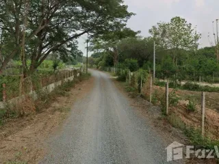 For sale land in Mae Rim, Chiang Mai