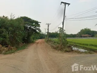 For sale land in Mae Rim, Chiang Mai