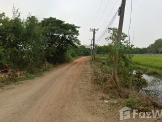For sale land in Mae Rim, Chiang Mai