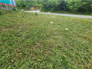 For sale land in Ko Samui, Surat Thani