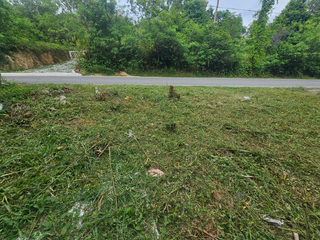 For sale land in Ko Samui, Surat Thani