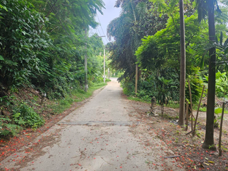 For sale land in Ko Samui, Surat Thani