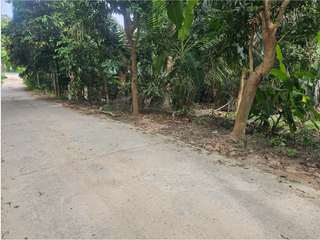 For sale land in Ko Samui, Surat Thani