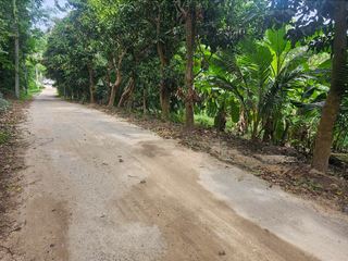 For sale land in Ko Samui, Surat Thani