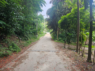For sale land in Ko Samui, Surat Thani