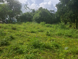 For sale land in Ko Samui, Surat Thani