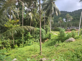 For sale land in Ko Samui, Surat Thani
