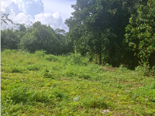 For sale land in Ko Samui, Surat Thani
