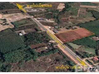 For sale land in Dan Sai, Loei