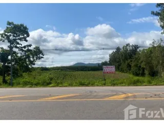 For sale land in Dan Sai, Loei