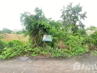 ขาย ที่ดิน ใน ไทรน้อย, นนทบุรี
