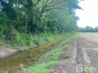 For sale land in Ban Na, Nakhon Nayok