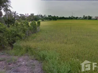ขาย ที่ดิน ใน ไทรน้อย, นนทบุรี