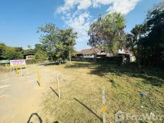 For sale land in Mae Rim, Chiang Mai