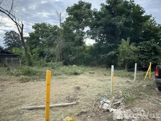 For sale land in Mae Rim, Chiang Mai