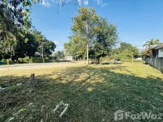For sale land in Mae Rim, Chiang Mai